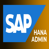 SAP HANA Admin Training  Viswa Online Trainings From India