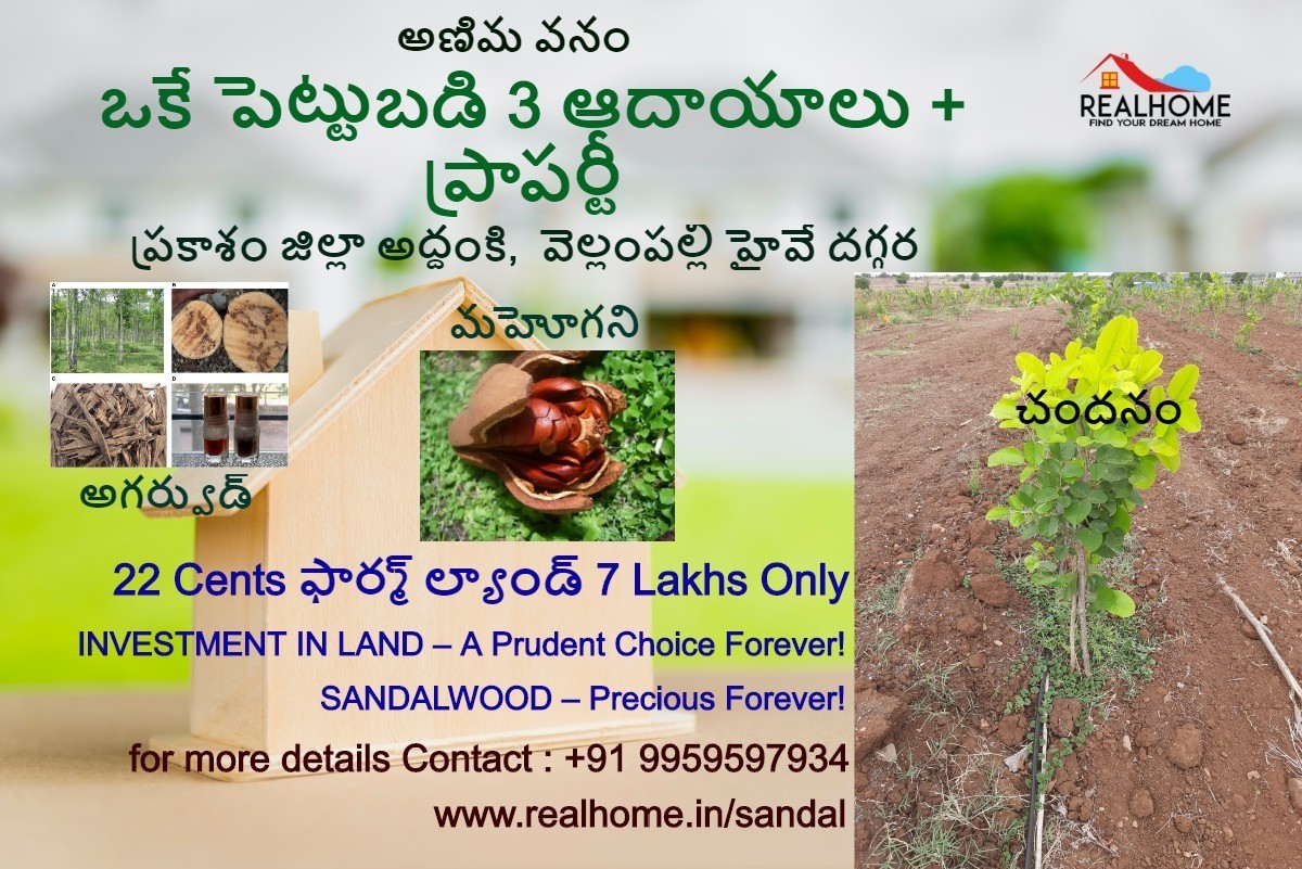 22 cents Plantation Plots in AddankiPrakasam district for 7 lakhs